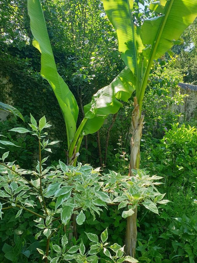 La Petite Maison Du Jardin D'Apollon Dourdan Ngoại thất bức ảnh